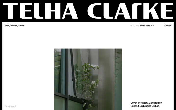 Главный экран сайта Telha Clarke